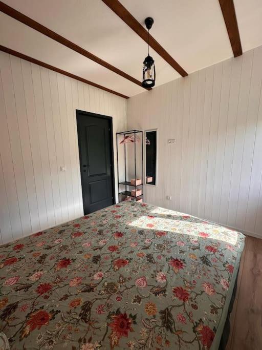 Alpine Chalet Predelut Eksteriør billede